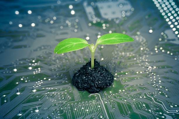 Green IT: Sustentabilidade e Data Centers Verdes